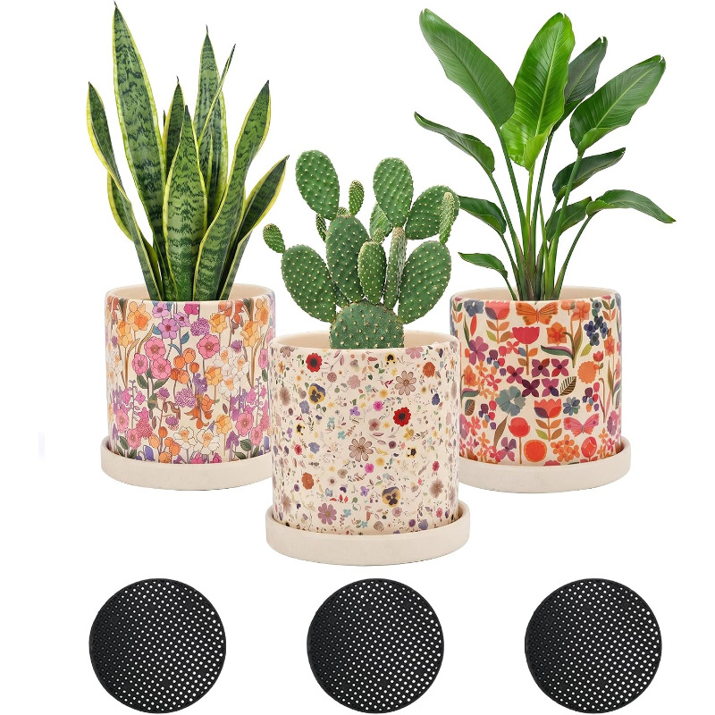 Snake Plant Ceramic - 배수구가 있는 꽃무늬 세라믹 화분 3개