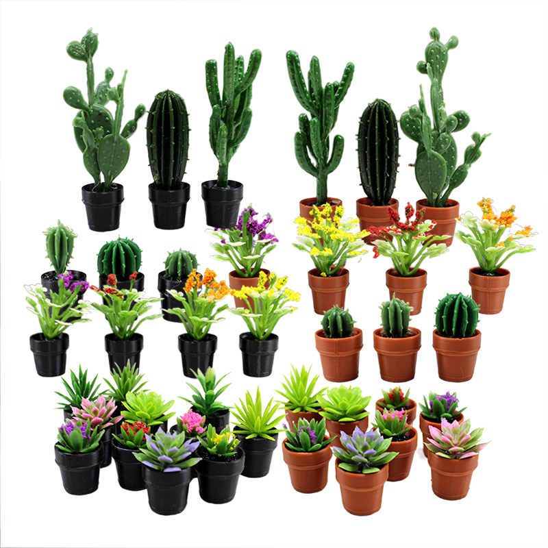 Succulent Set - 미니어처 플라스틱 화분에 심은 다육 식물
