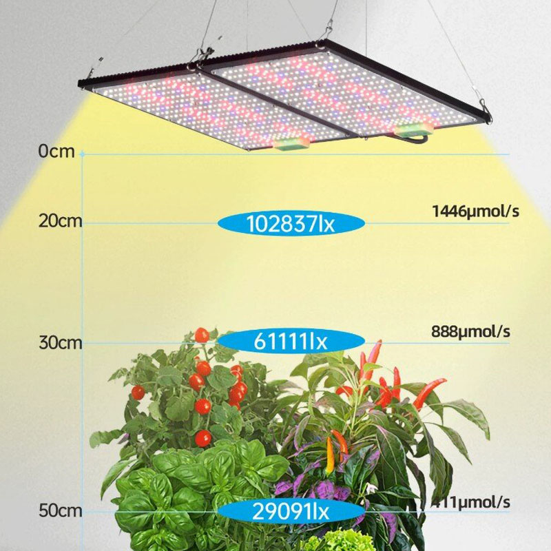 LED 퀀텀보드 식물 재배 조명, 실내 온실 채소 및  - Indoor Plants 리뷰 및 가격