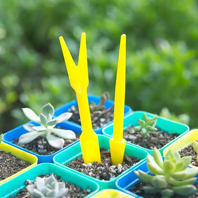 1/10Pcs 파종 다육 식물 이식 묘목 심은 도구 분 - Succulent Set 리뷰 및 가격