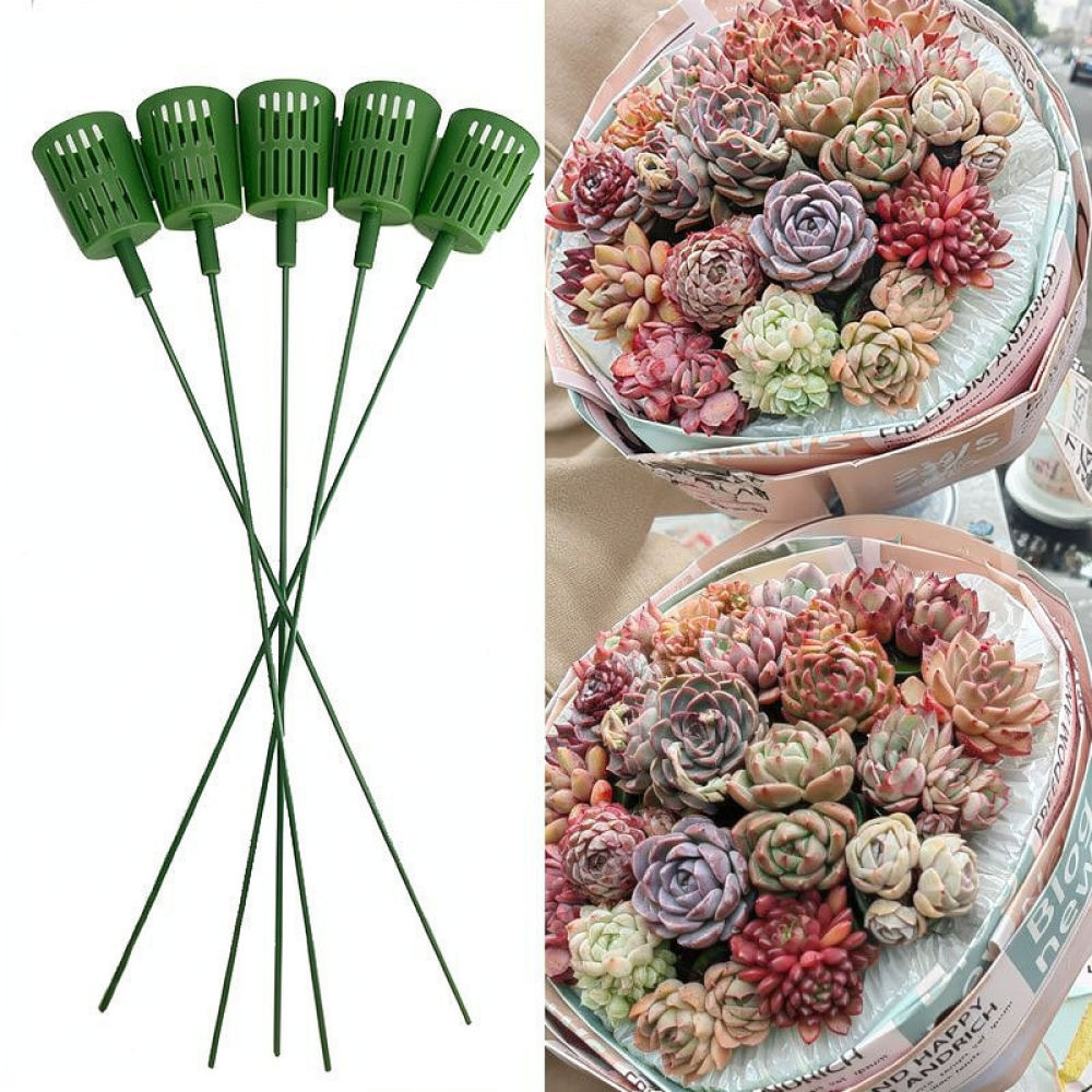 플라스틱 다육 식물 꽃꽂이 받침대, 정원 가꾸기용 DI - Plant Support Stake 리뷰 및 가격