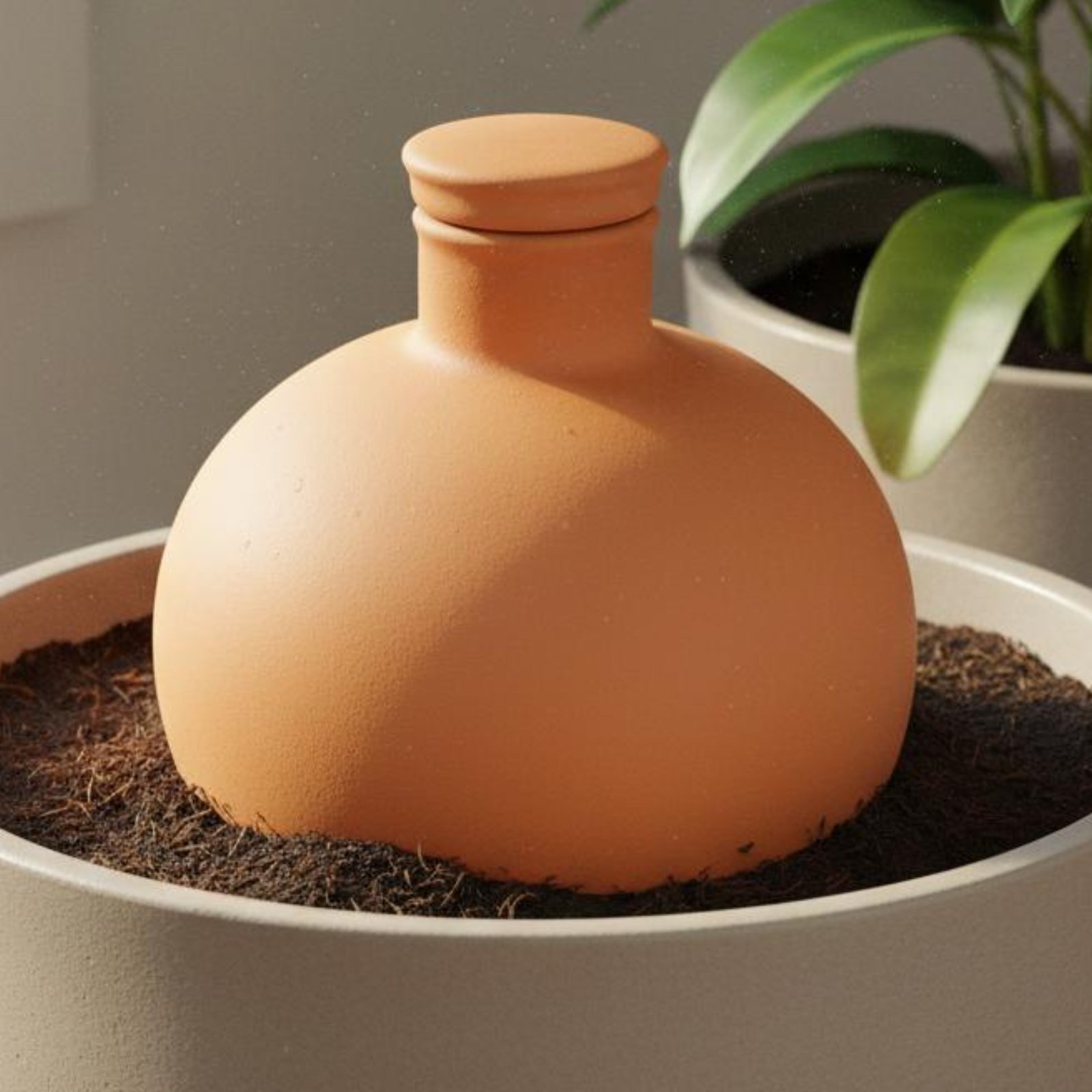 2개 테라코타 올라 이지 플랜트 케어 올라 물뿌리개 다 - Terracotta Pot 리뷰 및 가격