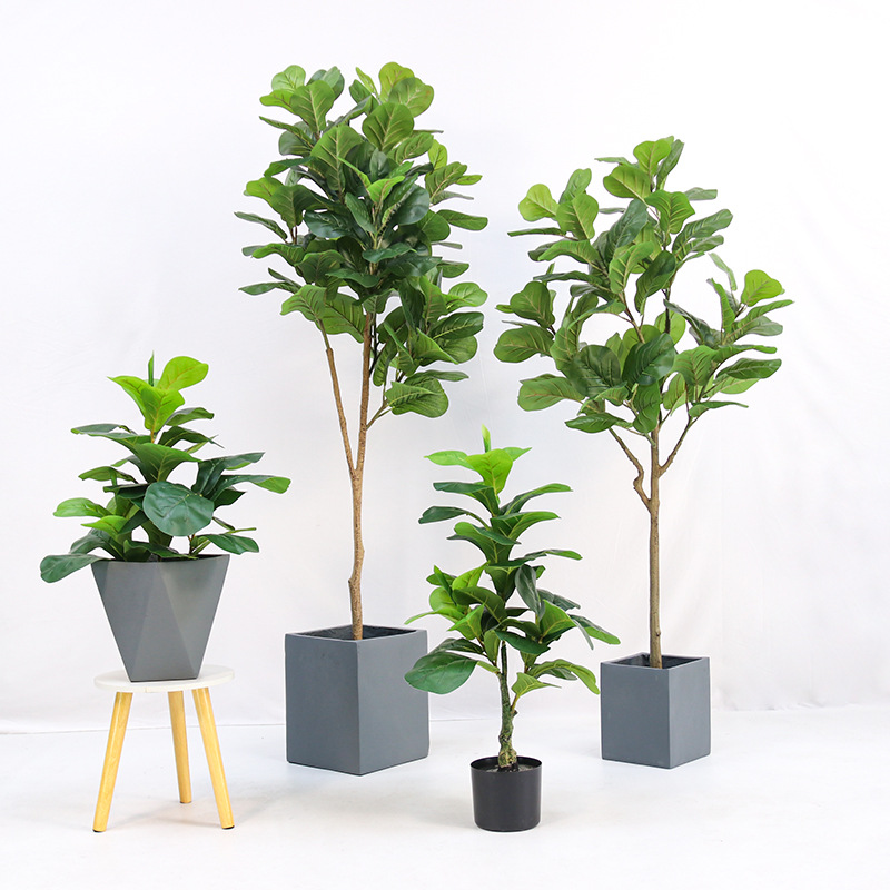 인조 플라스틱 화분에 심은 피들리프 피쿠스 (Ficus - Fiddle Leaf Fig 리뷰 및 가격