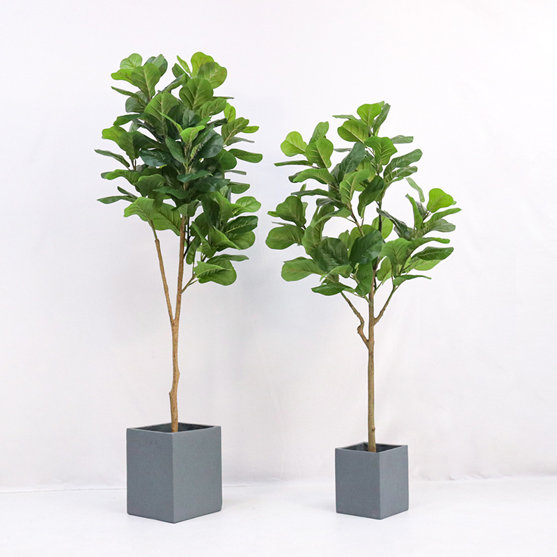 인조 플라스틱 화분에 심은 피들리프 피쿠스 (Ficus - Fiddle Leaf Fig 리뷰 및 가격