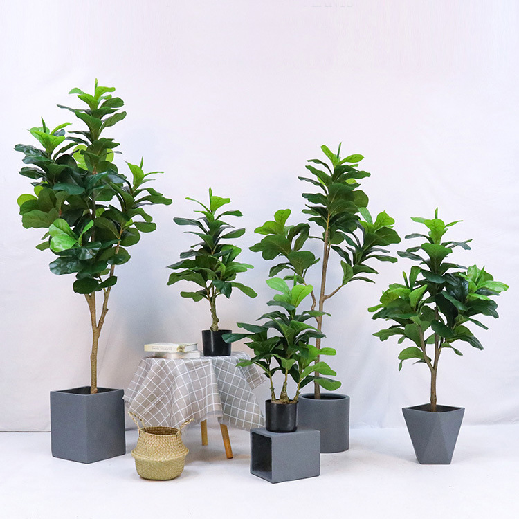 인조 플라스틱 화분에 심은 피들리프 피쿠스 (Ficus - Fiddle Leaf Fig 리뷰 및 가격