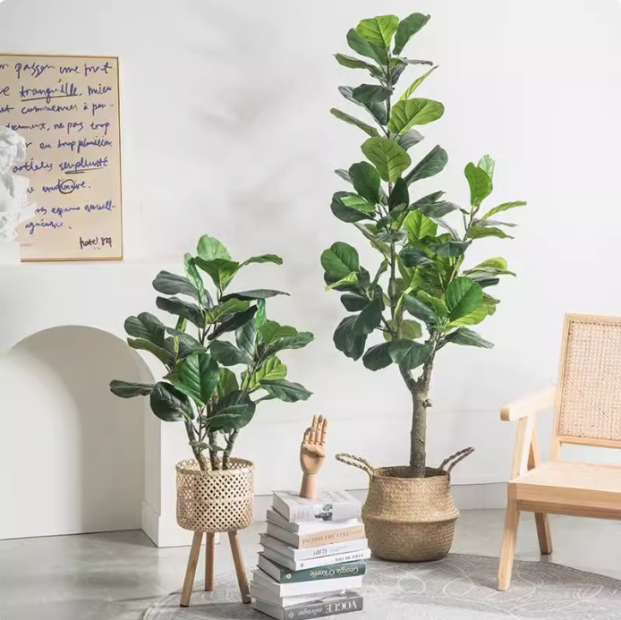 인조 플라스틱 화분에 심은 피들리프 피쿠스 (Ficus - Fiddle Leaf Fig 리뷰 및 가격