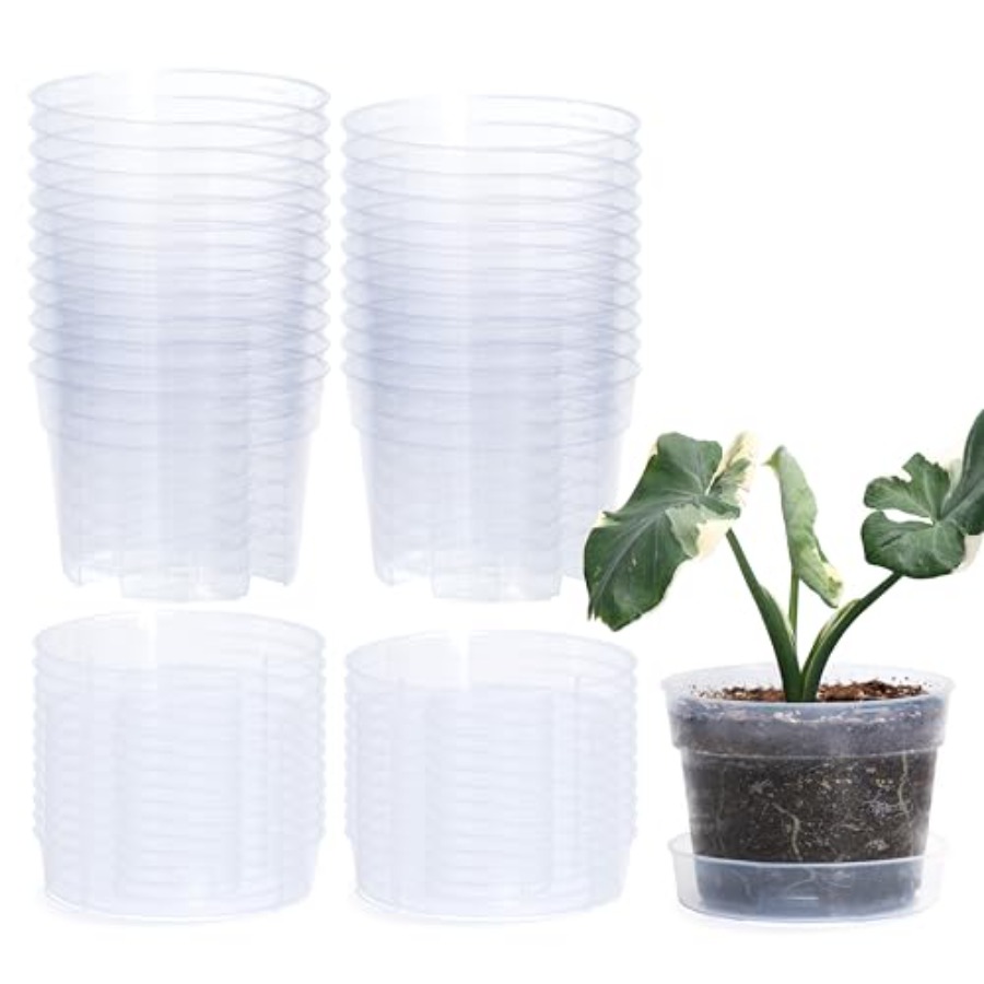 6인치 투명 플라스틱 화분, 배수구 포함, 실내 원예용 - Indoor Plants 리뷰 및 가격