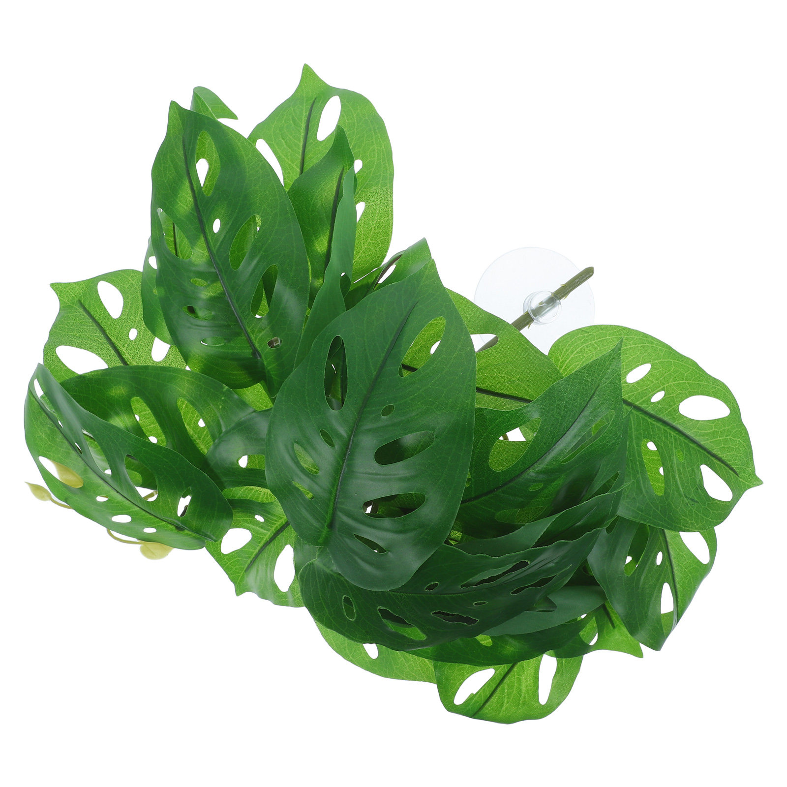 파충류 사육장 장식용, 실제와 흡사한 흡착식 식물, 인 - Snake Plant 리뷰 및 가격