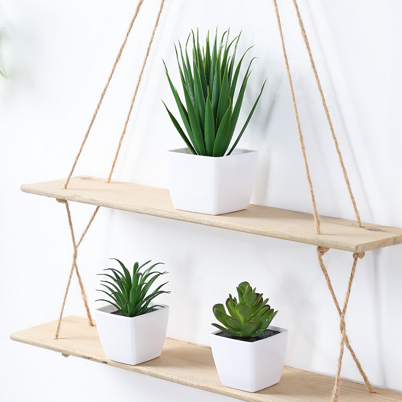 (3PCS 세트) 집, 레스토랑, 탁상, 창턱 및 책장 - Succulent Set 리뷰 및 가격