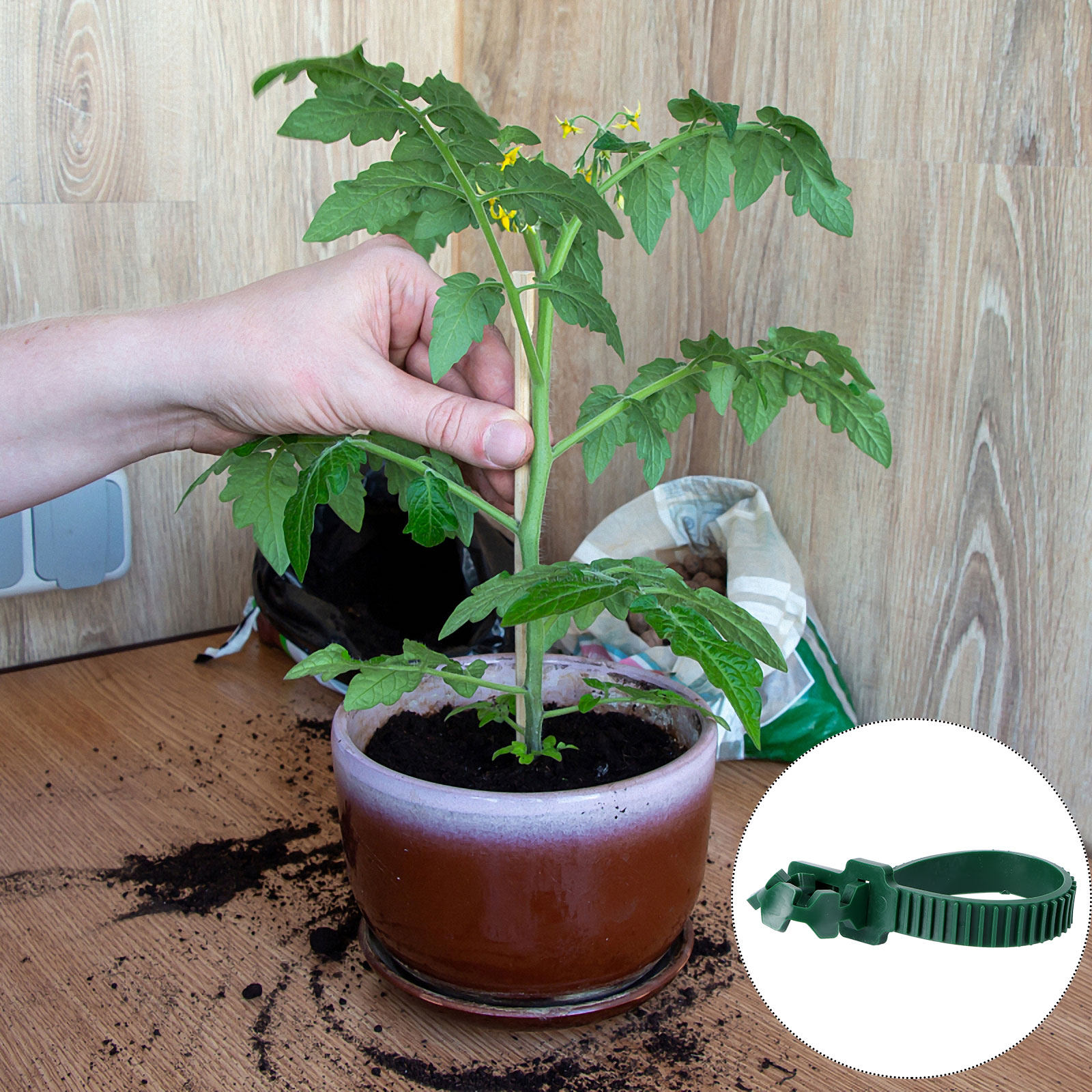 20개입 덩굴 고정 버클 정원 식물 지지 클립 PVC  - Plant Support Stake 리뷰 및 가격