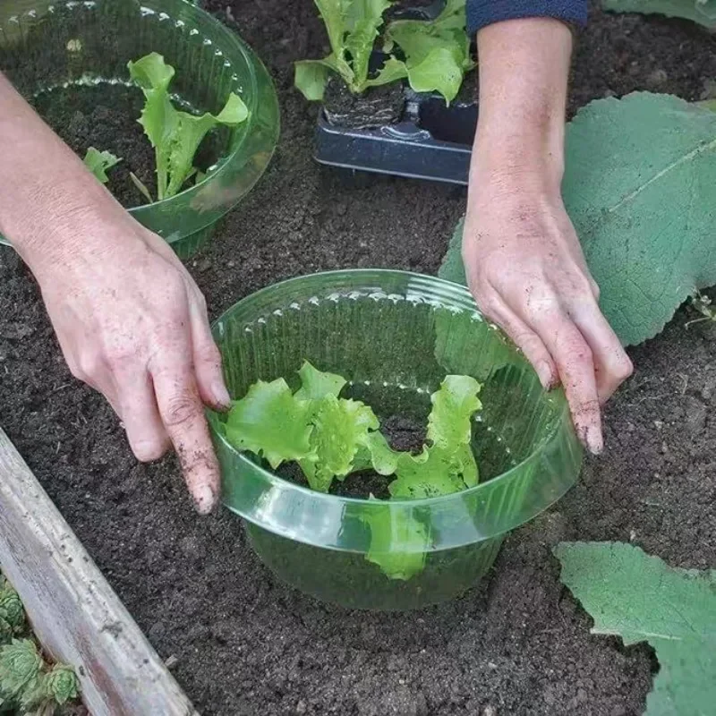 식물 달팽이 보호 링 야채 커버 식물 달팽이 칼라 가드 - Terracotta Pot 리뷰 및 가격