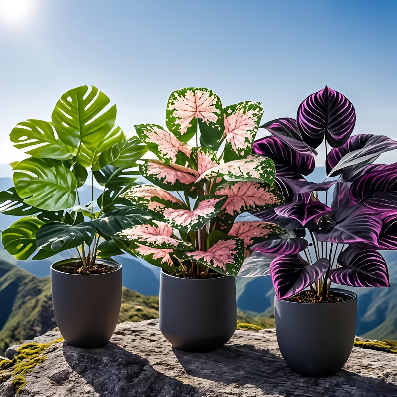 3종 혼합 인조 식물 세트 대형 핑크 몬스테라 인조 야 - Fiddle Leaf Fig 리뷰 및 가격