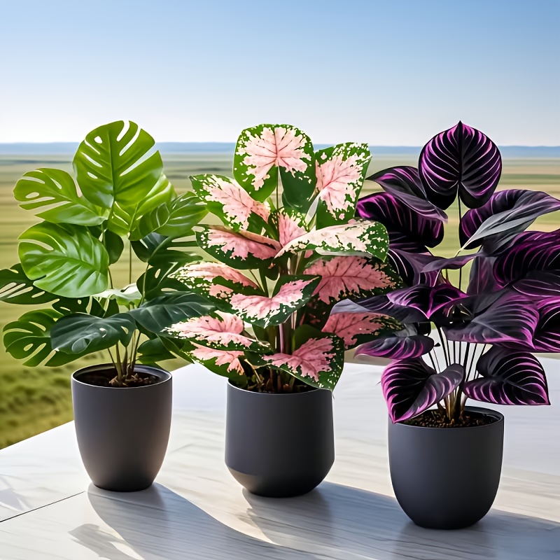 3종 혼합 인조 식물 세트 대형 핑크 몬스테라 인조 야 - Fiddle Leaf Fig 리뷰 및 가격