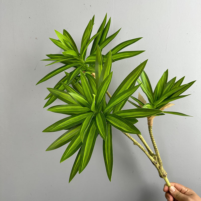 시뮬레이션된 녹색 식물 3개의 백합 대나무 드라세나 산 - Snake Plant 리뷰 및 가격