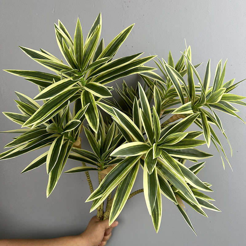 시뮬레이션된 녹색 식물 3개의 백합 대나무 드라세나 산 - Snake Plant 리뷰 및 가격