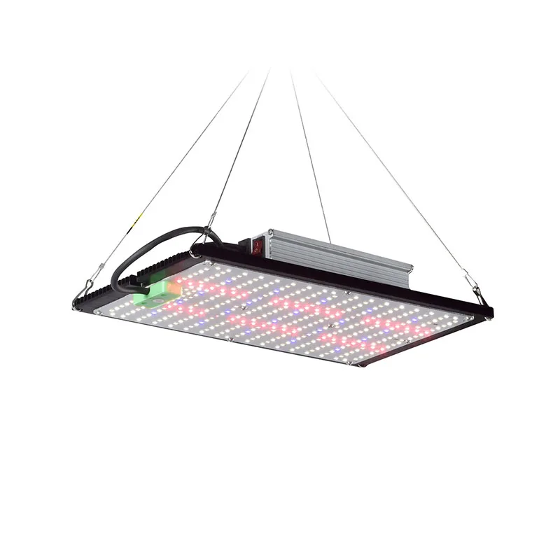 LED 퀀텀보드 식물 재배 조명, 실내 온실 채소 및  - Indoor Plants 리뷰 및 가격