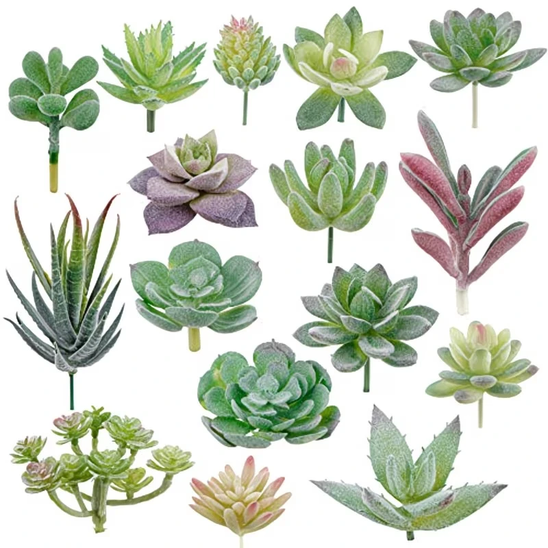 10/20Pcs PVC 다육 식물 가정 정원을위한 녹색 - Snake Plant 리뷰 및 가격
